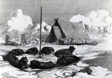 Szánkózás: Kutyák rögzítésének módja táborozáskor, 1876
